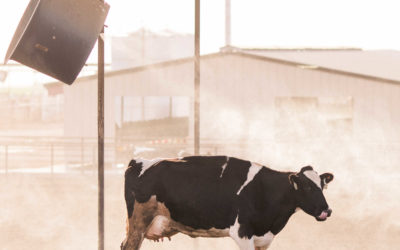 72 degrees in the shade