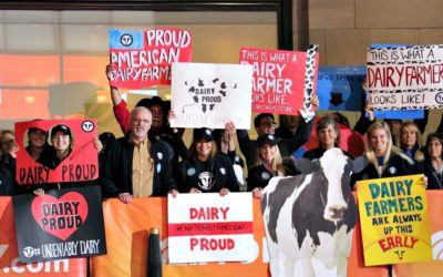 Connecting with Consumers in the New York City