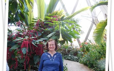 Meet our Family- Pat Scott