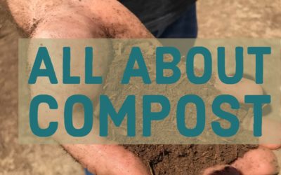 Composting with Cow Manure.