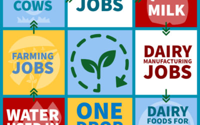 Farming’s Impact in Pinal County