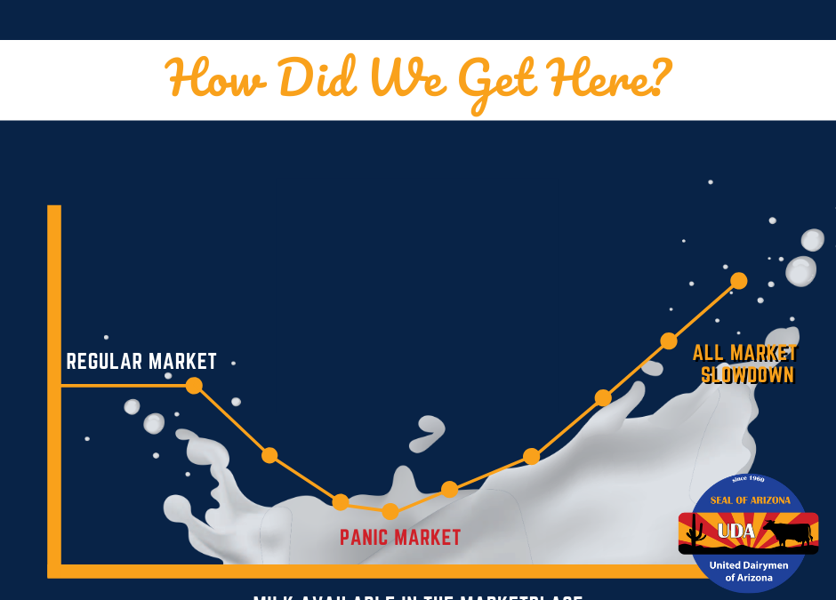 Why Are Dairy Farmers Dumping Milk?
