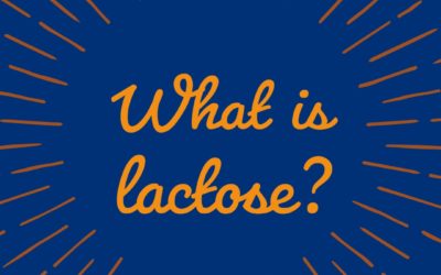 What is Lactose?