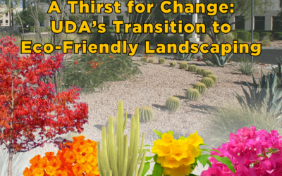 A Thirst for Change: UDA’s Transition to Eco-Friendly Landscaping