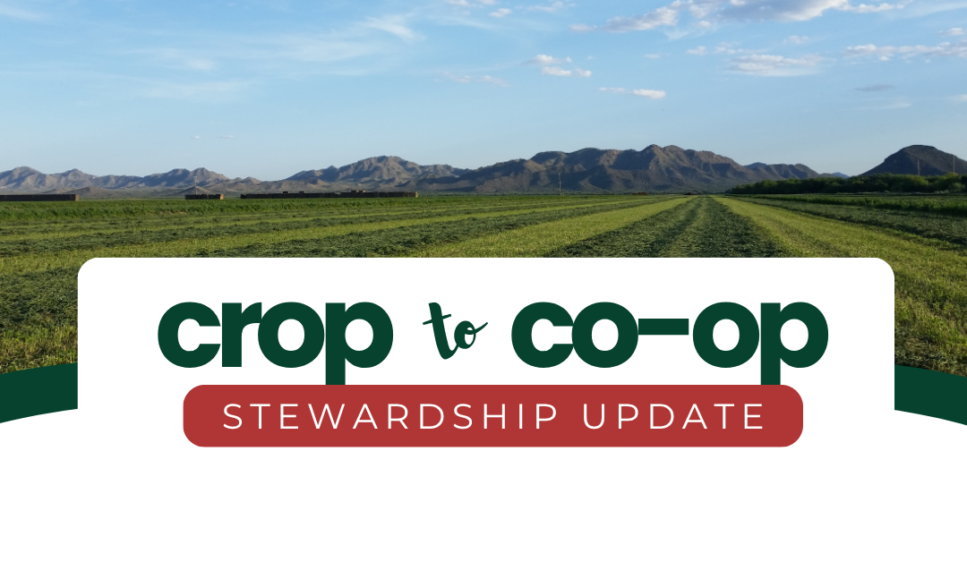 From Crop to Co-op: How UDA is Growing a Sustainable Future
