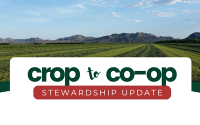From Crop to Co-op: How UDA is Growing a Sustainable Future
