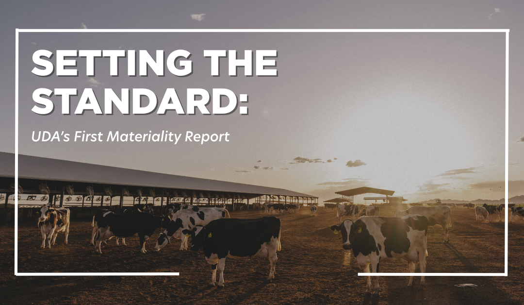 Setting The Standard: Unveiling Our Inaugural Materiality Assessment Report